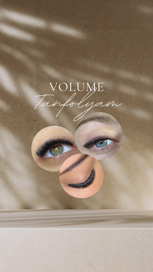 VOLUME 2-8D